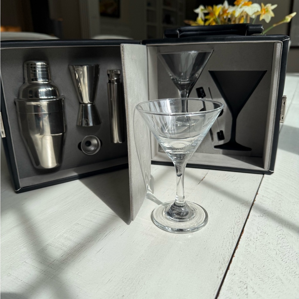 Martini Glasses & Cocktail Bar Tool Set - Clear Glass, Silver Tools 🍸 - Picture 2 of 9